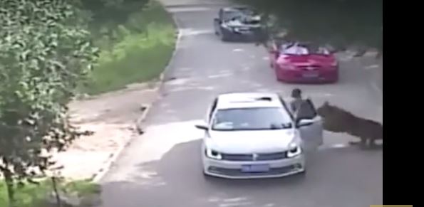 Снимок