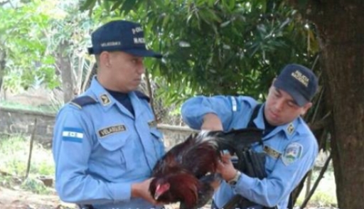 Қыздарға анальді секс не ұнайды?