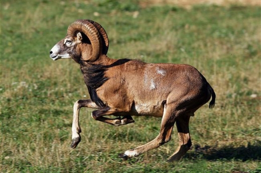 Беттерінен ұрып-соғады Әдемі қызыл шашты қыздардың эротикалық фотосуреттері