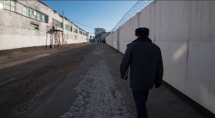 Жүктілік жыныстық қатынас кезінде кеудені сипау