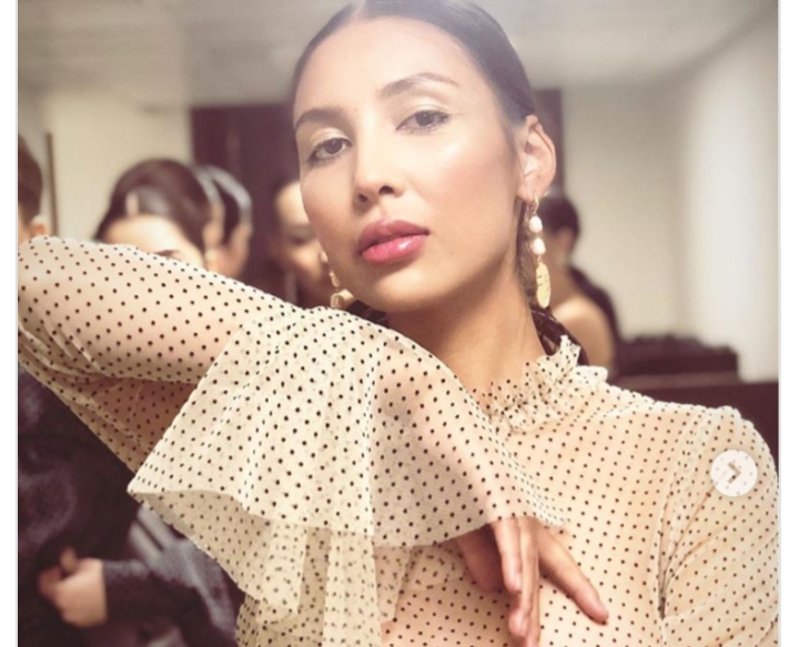 Қоғамдық көліктегі секс туралы видео