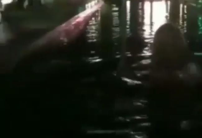 Жыныстық қатынас кезінде балаларының көзінше ыңыранатын ата-аналар