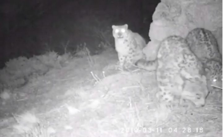 Үлкен анальді сиськи