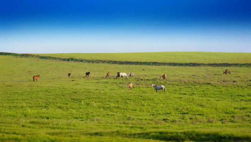Фото: pixabay.com